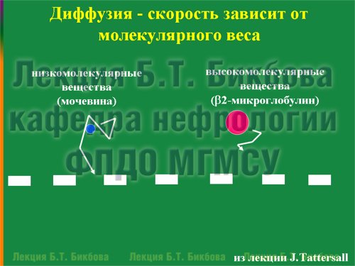 Диффузия - скорость зависит от молекулярного веса