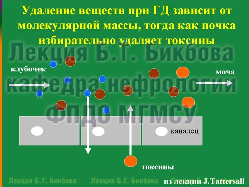 Удаление веществ при ГД зависит от молекулярной массы, тогда как почка избирательно удаляет токсины