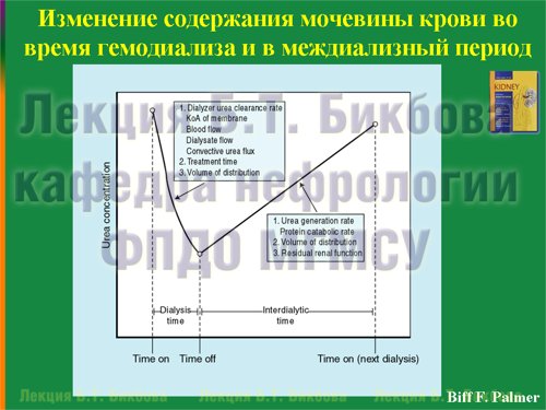 Изменение содержания мочевины крови во время гемодиализа и в междиализный период