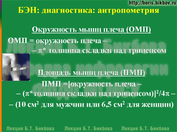 Окружность мышц плеча. Площадь мышц плеча.