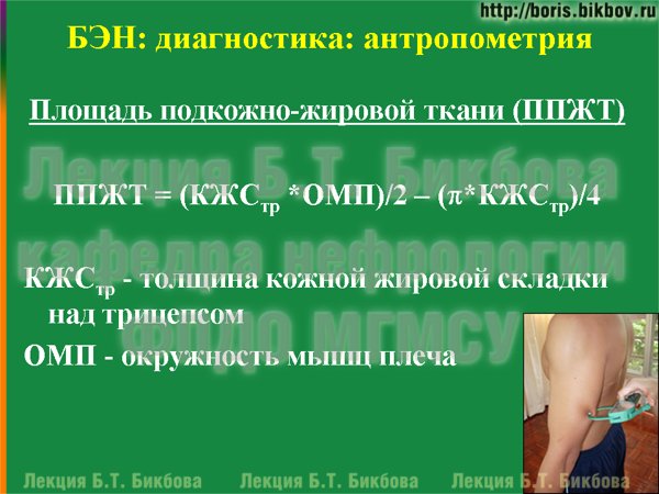 Площадь подкожно-жировой ткани