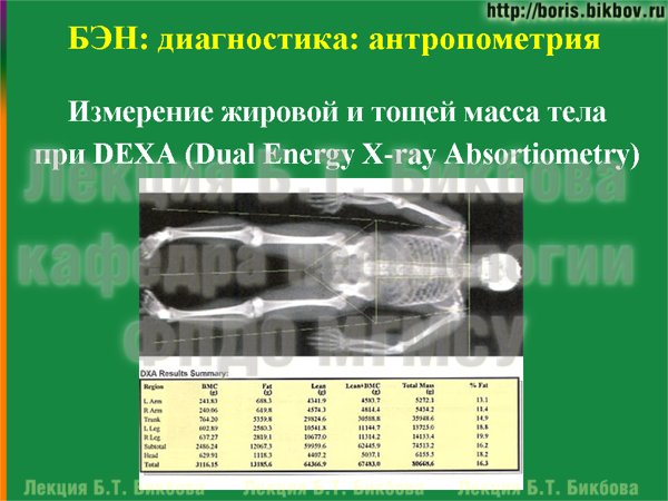 Измерение жировой и тощей масса тела при DEXA (Dual Energy X-ray Absortiometry)