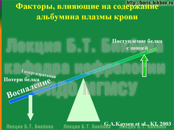 Факторы, влияющие на содержание альбумина плазмы крови