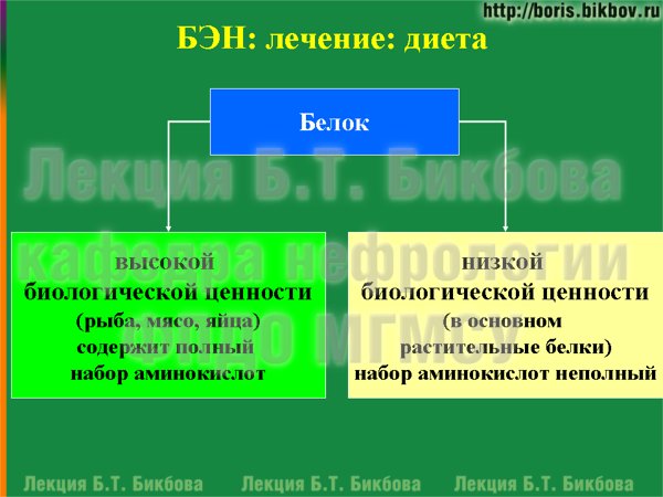 Белок высокой и низкой энергетической ценности