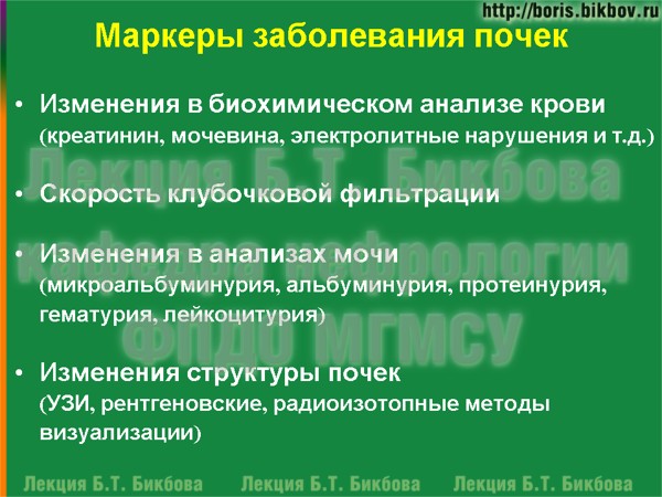 Маркеры заболевания почек Маркеры поражения почек