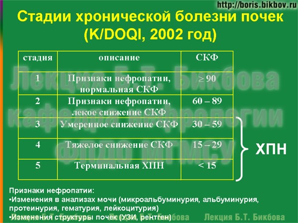Стадии хронической болезни почек Стадии хронической болезни почек по K/DOQI