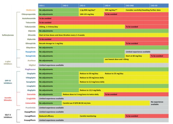 Клинические практические рекомендации по ведению пациентов с сахарным диабетом и диабетической нефропатией стадии 3б-5 Клинические практические рекомендации по ведению пациентов с сахарным диабетом и диабетической нефропатией стадии 3б-5